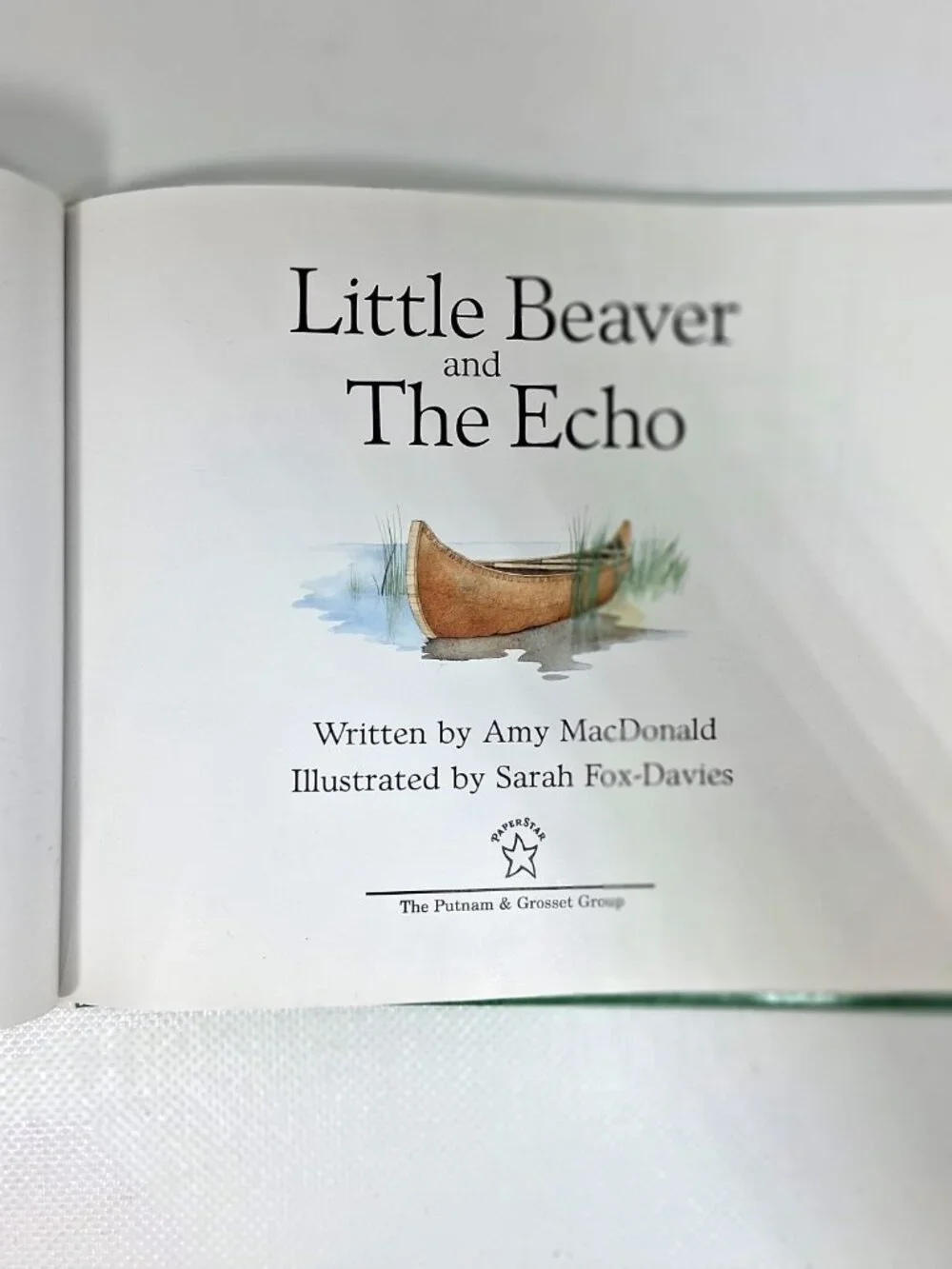 Little Beaver and The Echo by Amy MacDonald, Children's Book, 90s Y2K